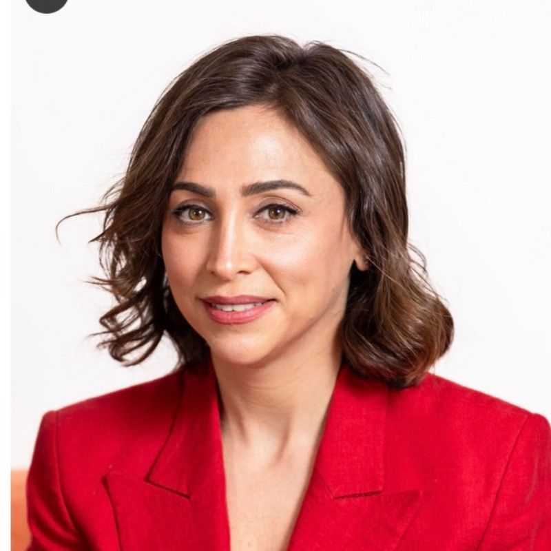 Ayah Bdeir